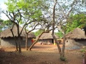 Pre- and post-conflict perspectives of identity and culture in Uganda Edith